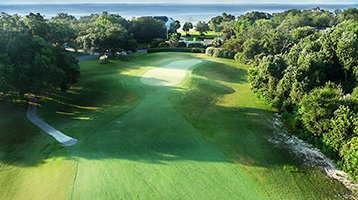 aerial view of golf course green